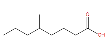 5-Methyloctanoic acid